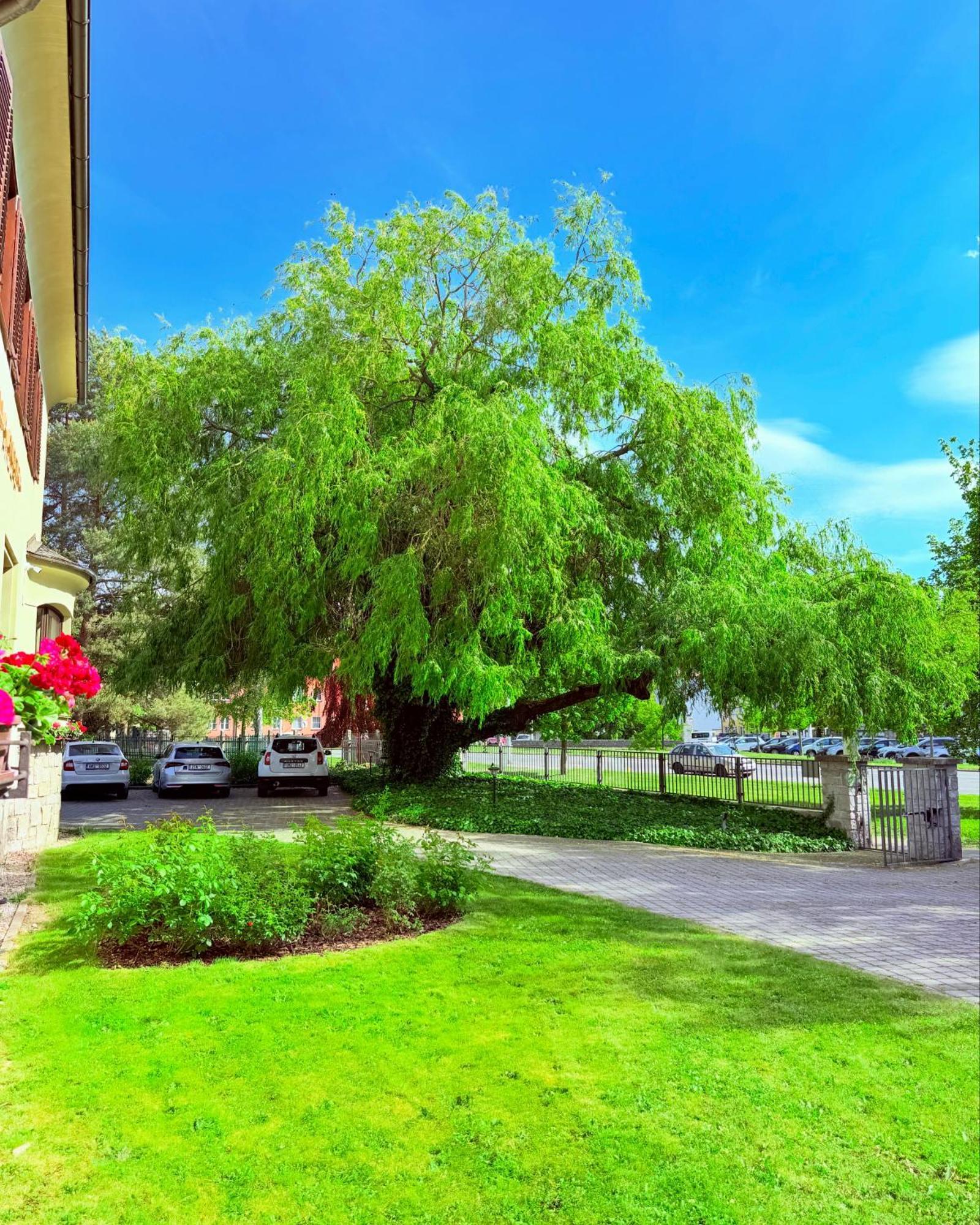 Penzion Villa Ancora Sumperk Exterior photo